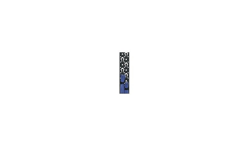 Middle Atlantic LACE-44-OP 44RU Lacer Strip with Tie Posts 3.25 in Wide 6 Pack