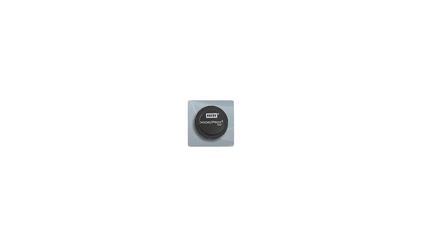 HID MicroProx 1391 Proximity Key Tag 125 kHz BDG-1391