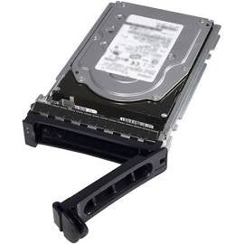 Dell 400-ANVL 10TB 7.2K RPM 3.5in LFF 12G SAS Nearline HDD for PowerEdge