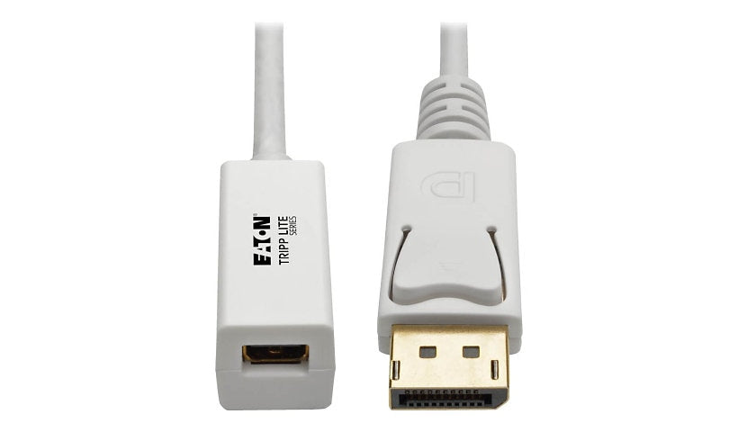 Tripp Lite DisplayPort to Mini DisplayPort Adapter, 4K 60Hz, M/F, White, 6 in