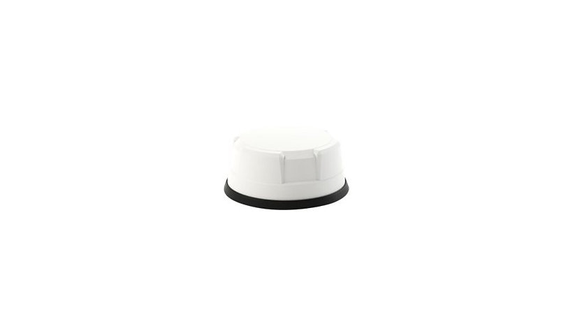 Panorama LG-IN2446-W 4x4 MIMO LTE, 4x4 Wi-Fi, GPS Antenna, Cradlepoint IBR1700