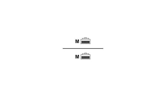 Raritan CSCSPCS-1 Crossed RJ45 Serial Cable 1 ft