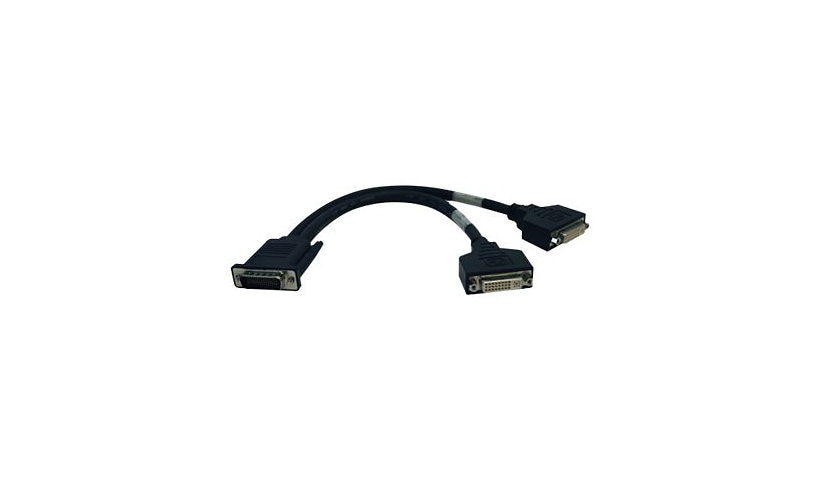 Tripp Lite DMS-59 to Dual DVI-I Y Splitter Cable, Male to 2x Female, 1 ft