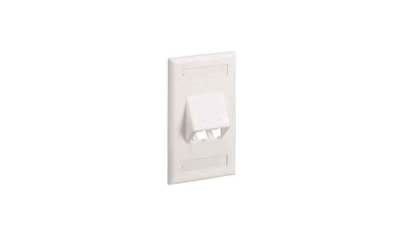 Panduit CFPSL2IWY Mini-Com Sloped 2-Port Faceplate 1-Gang Off White 1 Year
