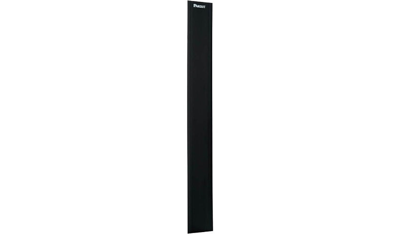 Panduit WMPVHRCE NetRunner Replacement Cover 5.5 in Wide 22.5U