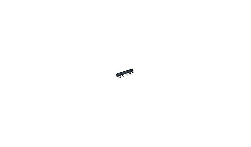 Middle Atlantic HCM-2D 2RU D-Ring Horizontal Rack Cable Manager 19 in Steel