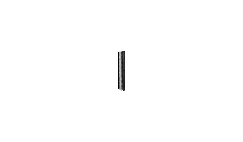 CPI 30095-703 Master Cabling Section Vertical Cable Manager 78 in x 6 in