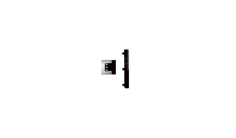 Panduit CWMPV3340 Vertical Cable Manager 70 in