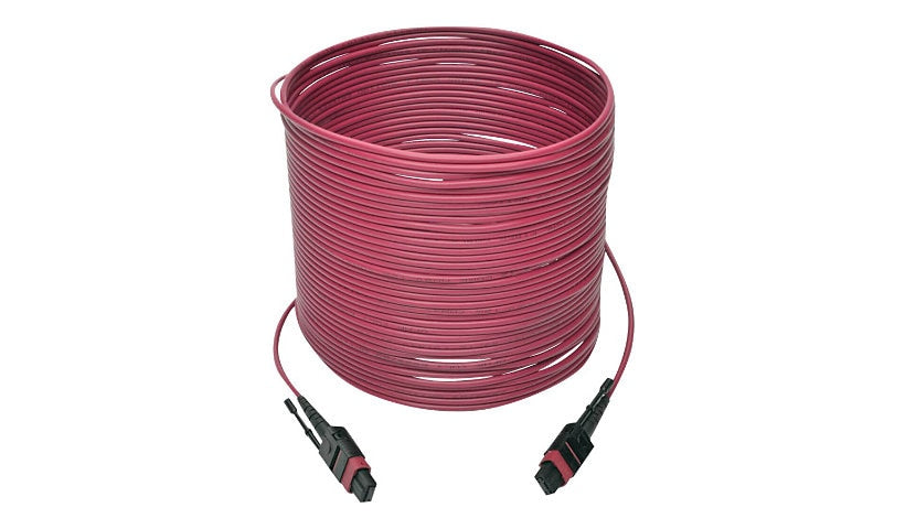 Tripp Lite (Eaton) N845-10M-12-MG 10m (32.8ft) 12 Fiber MTP/MPO Female to Female OM4 Multimode Plenum Fiber Cable, 40/100GBASE-SR4, Push/Pull Tabs, Magenta