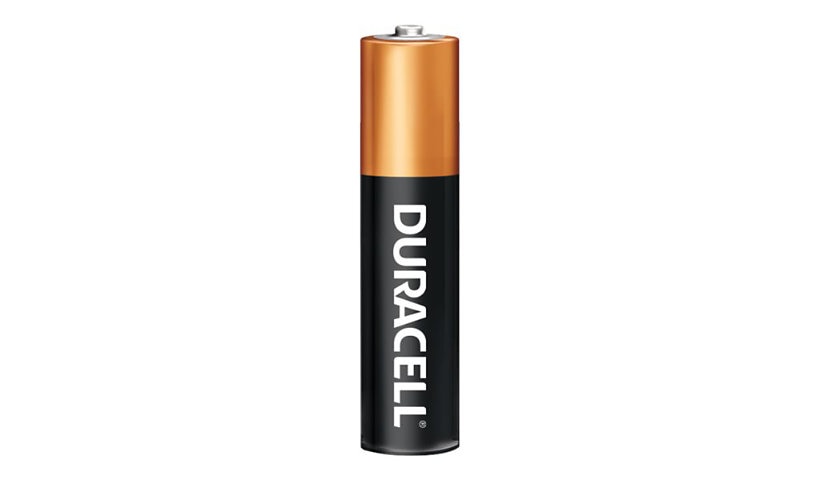Duracell CopperTop AAA Alkaline Batteries, 36-Pack, MN24P36