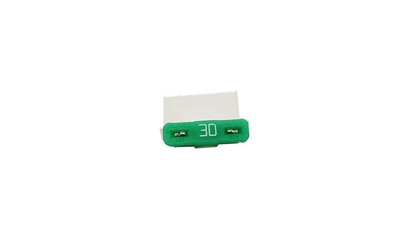 Capsa R200096 Healthcare Battery Cable Fuse 30A