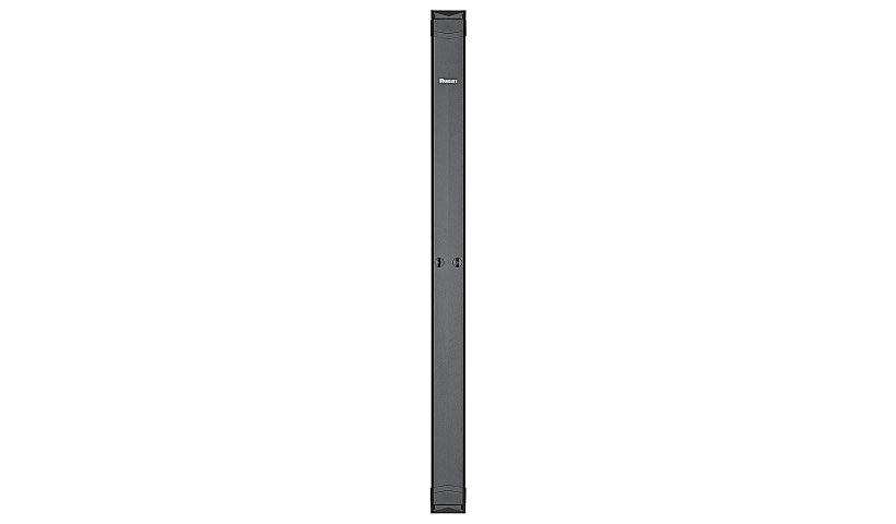 Panduit PR2VD08 PatchRunner 2 Vertical Cable Manager 8 in Wide 45U