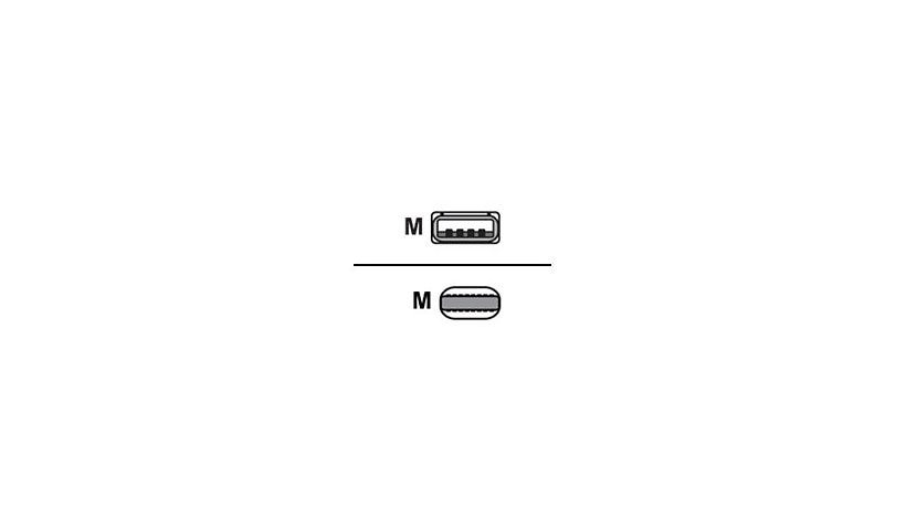 Bretford PSPCORD10A-L12 Lightning to USB Cable 1 ft 10 Pack 1 Year