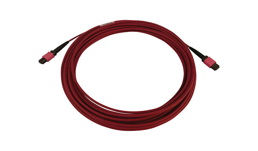 Tripp Lite (Eaton) N845B-10M-12-MG 10m (32.8ft) 12 Fiber MTP/MPO PC Female to Female OM4 Multimode Fiber Cable, 100G, 50/125, LSZH, Magenta