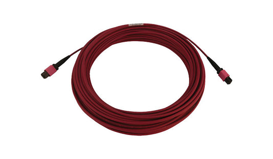 Tripp Lite (Eaton) N845B-20M-12-MG 20m (65.6ft) 12 Fiber MTP/MPO PC Female to Female OM4 Multimode Fiber Cable, 100G, 50/125, LSZH, Magenta