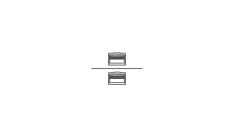 Ruckus 1m (3.3ft) 25GBase SFP28 to SFP28 Passive Direct Attach Cable, E25G-SFP28-TWX-P-0101