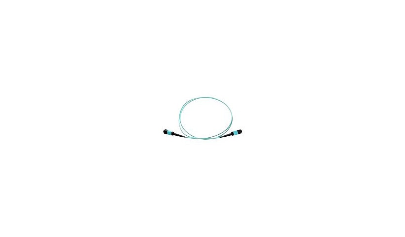 Axiom MPOFFOM41M-AX 1m (3.3ft) MPO Female to MPO Female 12 Fiber OM4 Multimode Fiber Cable, 50/125, Riser, Aqua