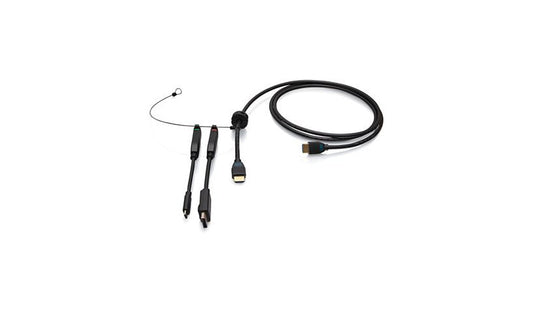 C2G 4K HDMI Premium Cable with Adapter Ring (DP, Mini DP, USB-C), 6 ft