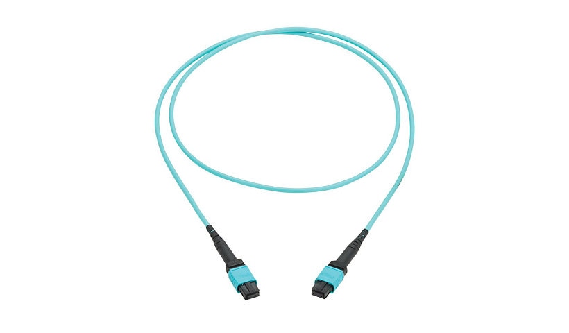 Tripp Lite (Eaton) N845B-02M-12TAA 2m (6.6ft) 12 Fiber MPO PC Female to Female OM4 Multimode Fiber Cable, Type-B, 100G, 50/125, OFNP, TAA, Aqua