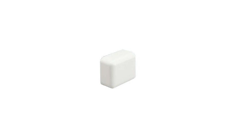 Panduit ECF10WH-X LD10 Raceway End Cap Fitting 10 Pack White