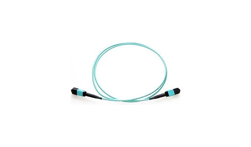Axiom 10m (33ft) MTP/MPO Female to Female 12-Fiber OM4 Multimode Trunk Cable, Type-B, 50/125, Plenum-Rated OFNP, Aqua, TAA Compliant, AXG95090